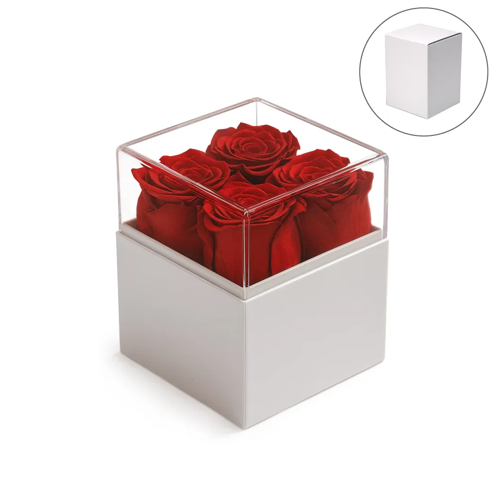Forever-Rose-Flowers-Gift-Box-FGB-01-WHT-Blank.webp علبة هدايا ورود طبيعية محفوظة Forever Roses – أبيض مع غطاء أكريليك شفاف – 4 ورود حمراء طويلة العمر - الصورة 1