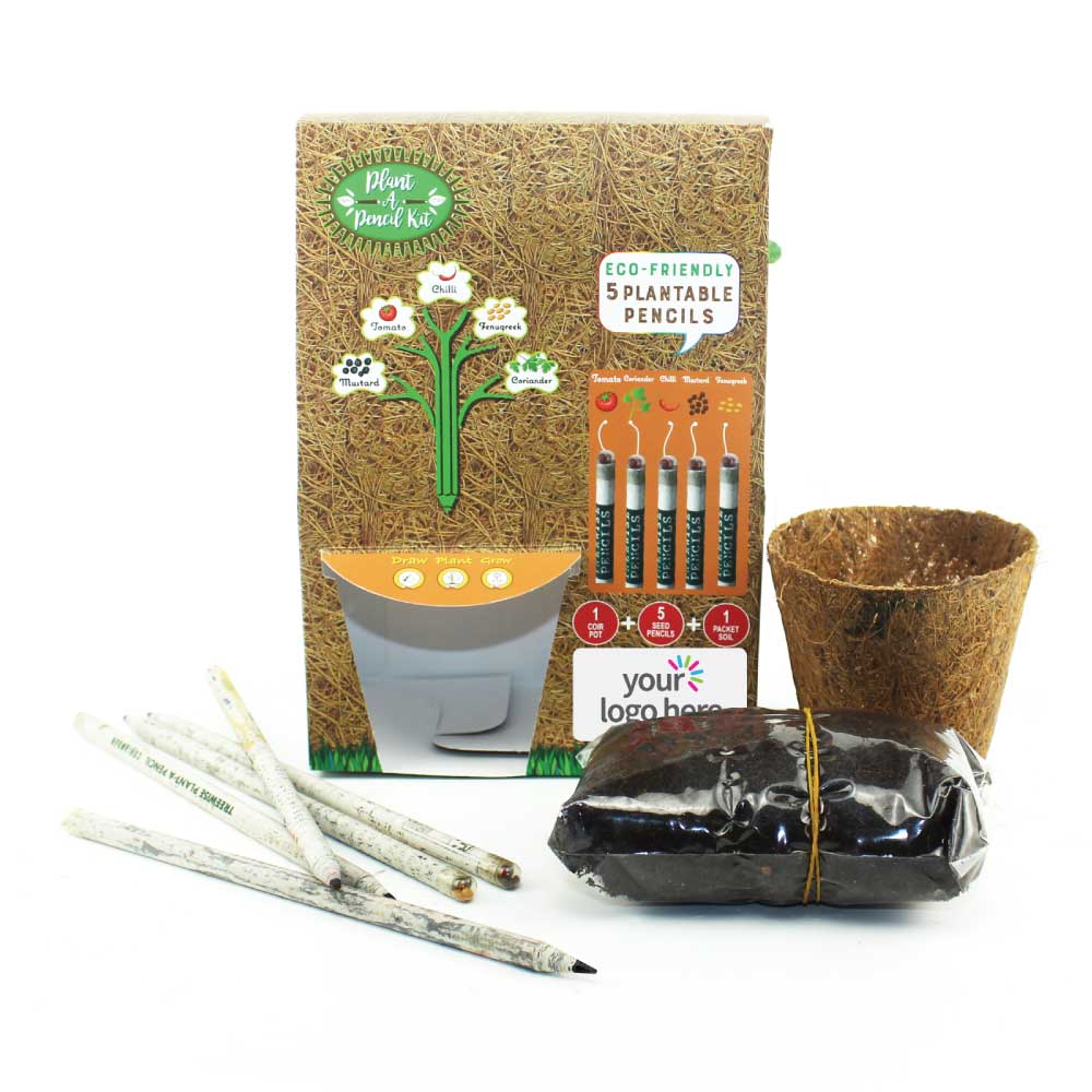 Plant-A-Pencil-Kit-SPS-02-main-T.jpg بلانت إيه بينكيل كيت - الصورة 1