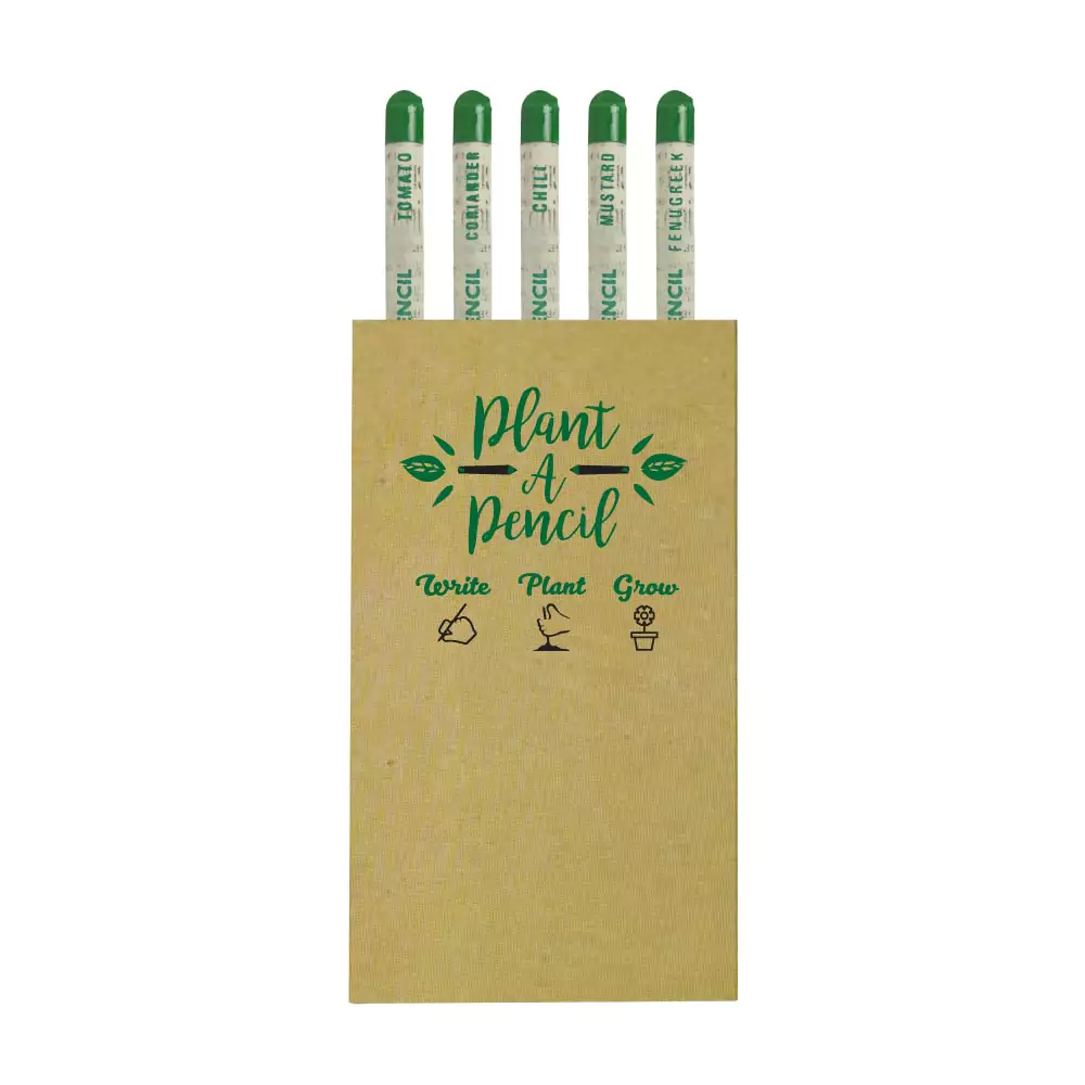 Plantable-A-Pencils-Set-SPS-03-Blank.webp بلانتابلي إيه بينكيلس سيت سيدس توماتو كورياندير تشيلي موستارد فينوجريك - الصورة 1
