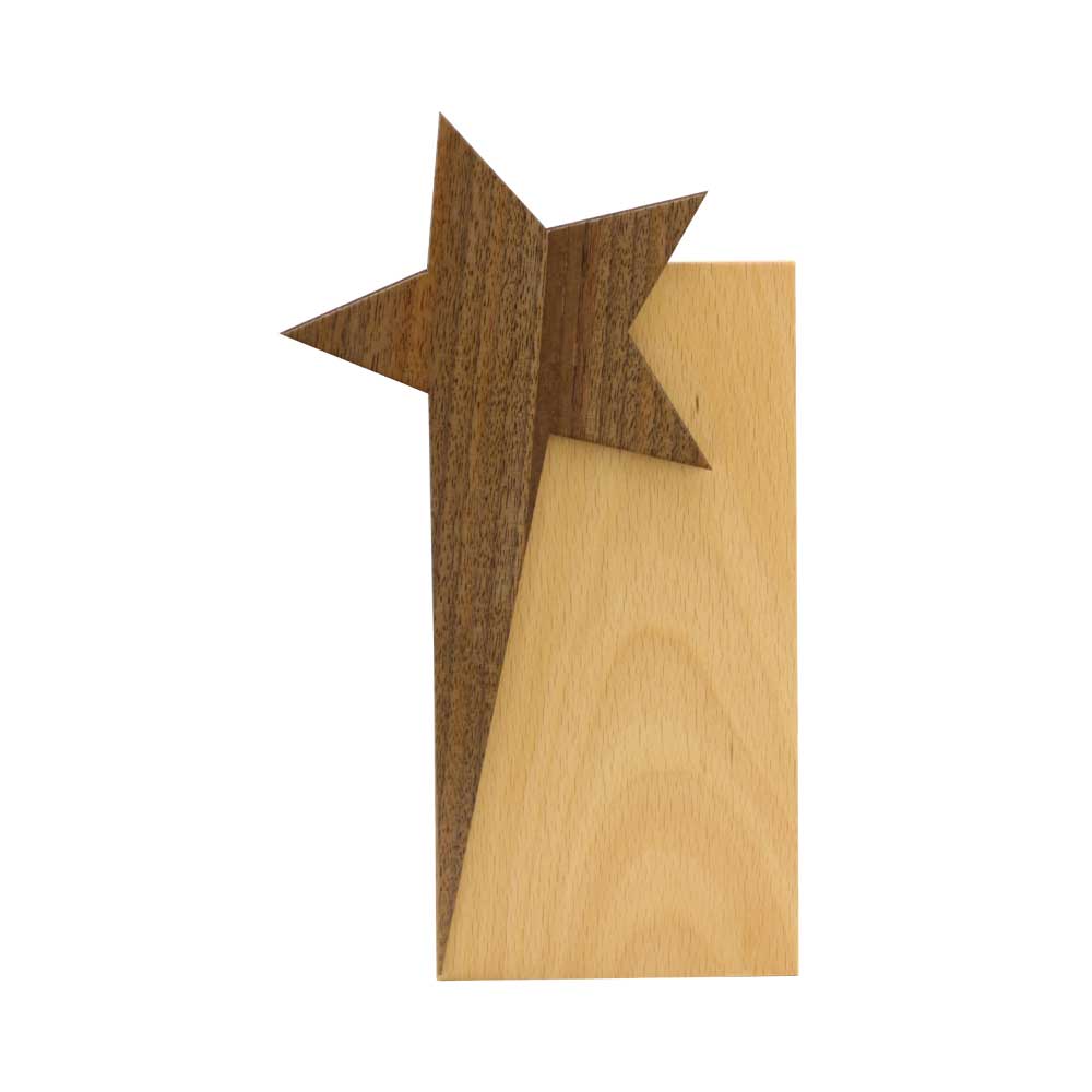 Star-Design-Wooden-Trophy-CR-53-Main.jpg ستار ديسيجن وودين تروفي اوارد مع جيفت بوكس - الصورة 1