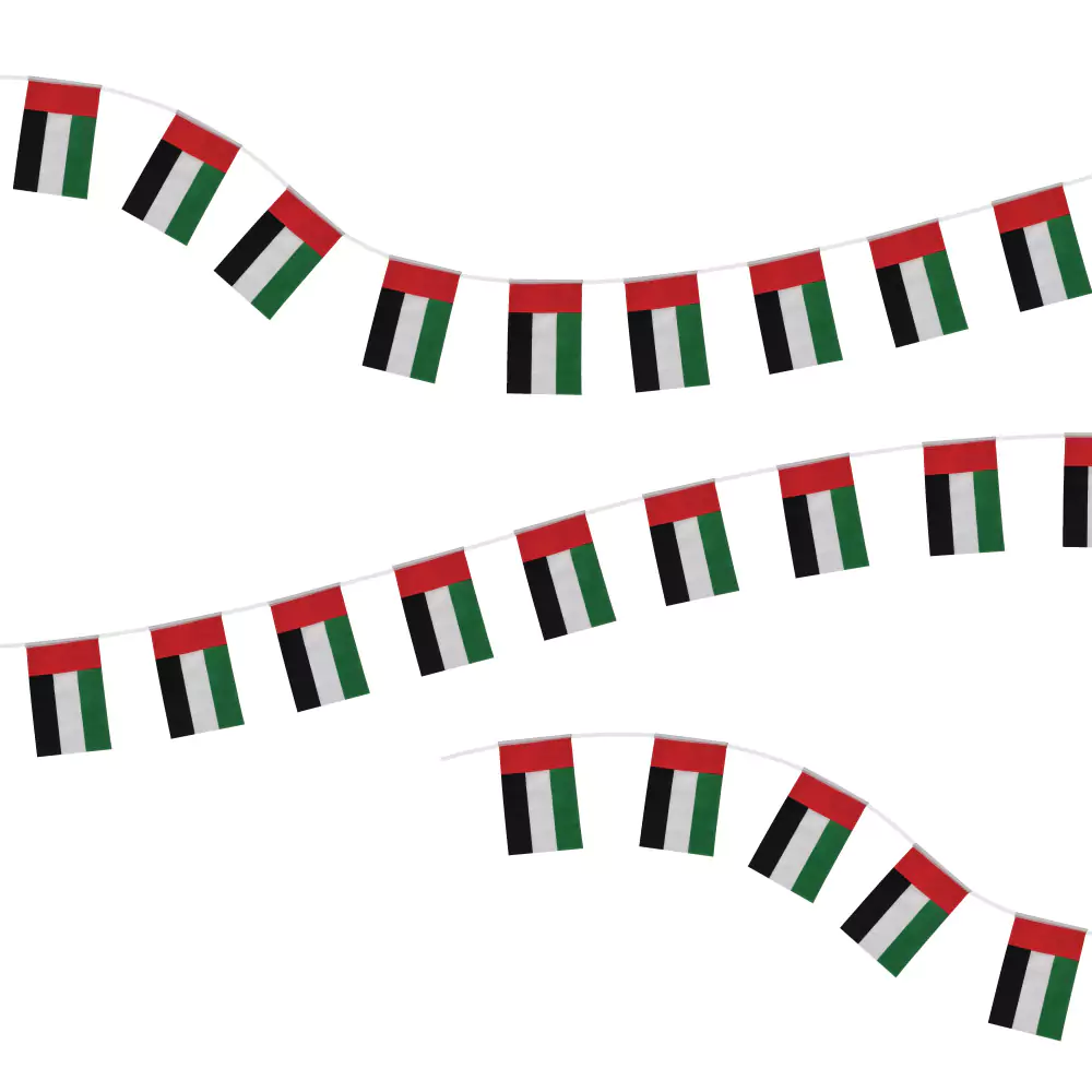 UAE-Flag-Bunting-F-32-Main.webp زينة أعلام الإمارات المعلّقة بخيط 32 قطعة - الصورة 1