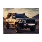 ⁦كاردبوارد بوززليس⁩ - الصورة ⁦2⁩