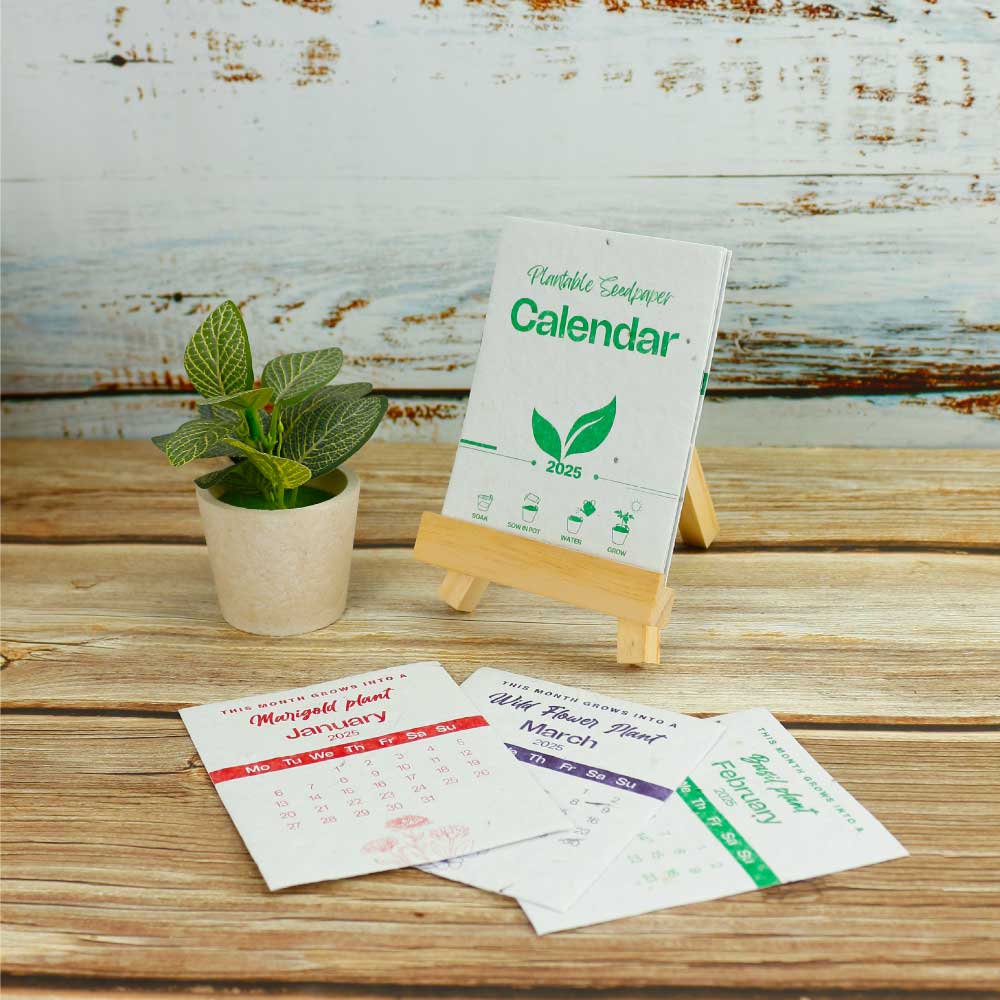 2025 Table Calendars with Plantable Seeds Magic Trading Company MTC