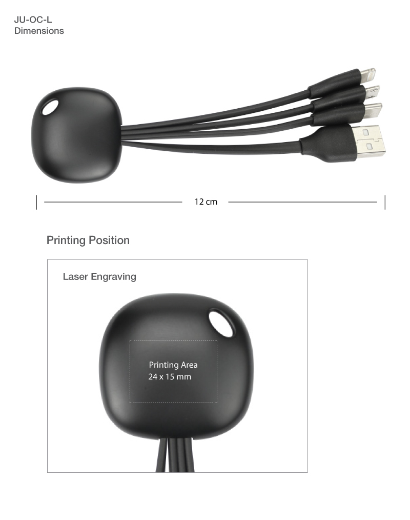 Engraving Charging Cable
