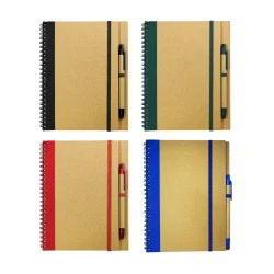 Notebooks RNP-01