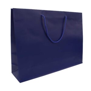Laminated Paper Promotional Shopping Bags