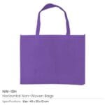 Non-woven-Bag-NW-10H