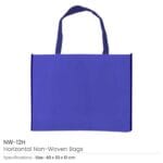 Non-woven-Bag-NW-12H