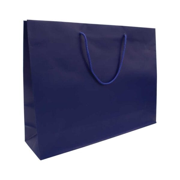 A4 Promotional Paper Bags