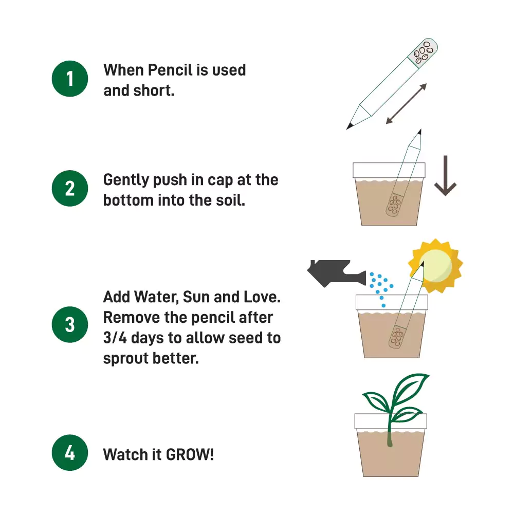 Plantable A Pencils Set Instruction