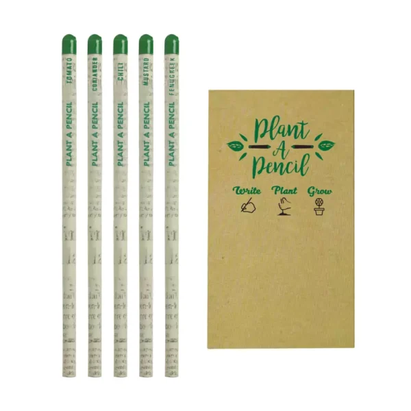 Plantable A Pencils Set Open View