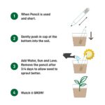 Plant A Pencil Kit SPS-02-03