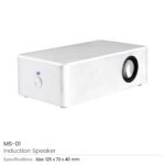 Induction-Speaker-MS-01.jpg
