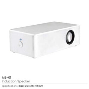 Induction Speakers - Image 4