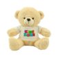 Branding Teddy Bear