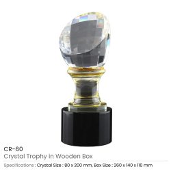 Crystal Glass Trophy in Wooden Box - Image 3