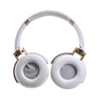 Bluetooth Headphone Inside View