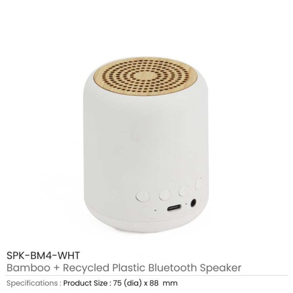Bluetooth Speaker v5.1 Details