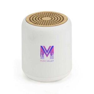 Branding Bluetooth Speaker v5.1