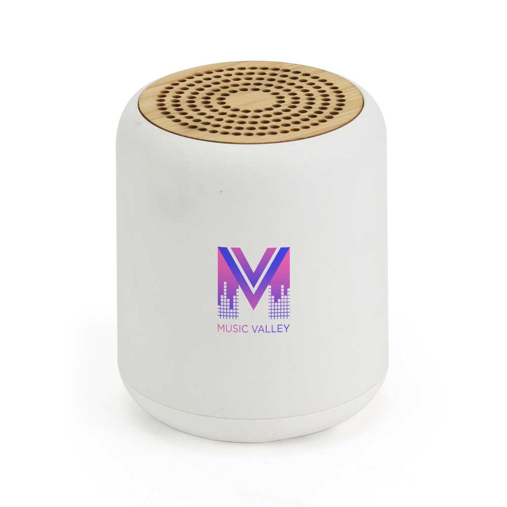 Branding-Bluetooth-Speaker-SPK-BM4-WHT