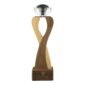 Branding Wooden Trophy