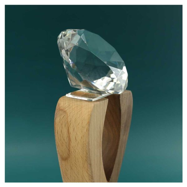 Wooden Trophy with Diamond Crystal