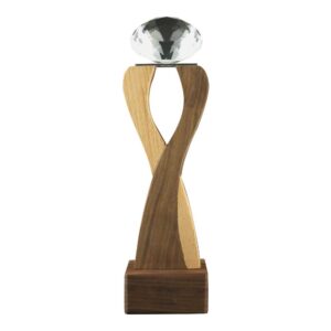 Wooden Crystal Trophy Blank