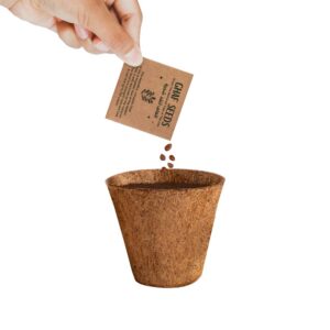 Plantable Kit with GHAF Seeds