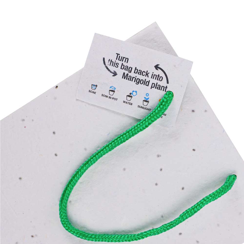 Plantable-Seed-Paper-Bag-SPS-07-with-Tag