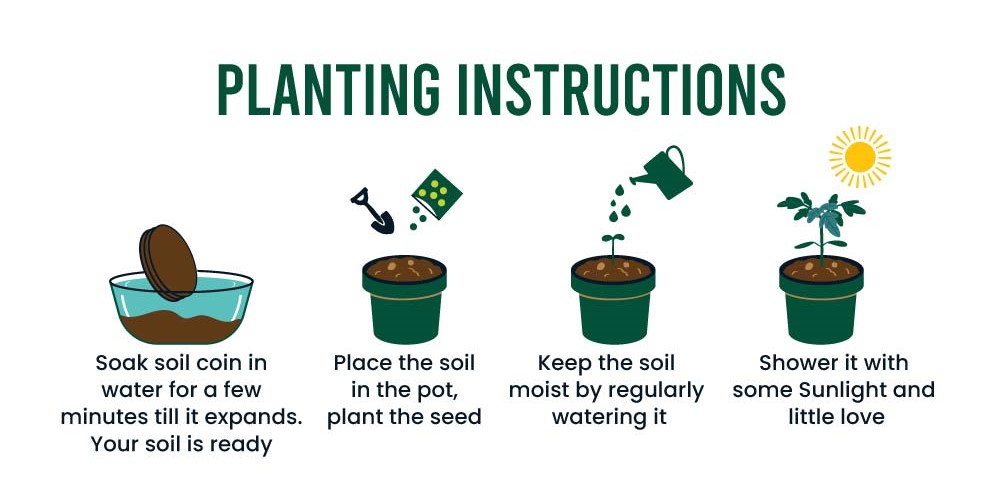 Planting Instructions - How to Plant!