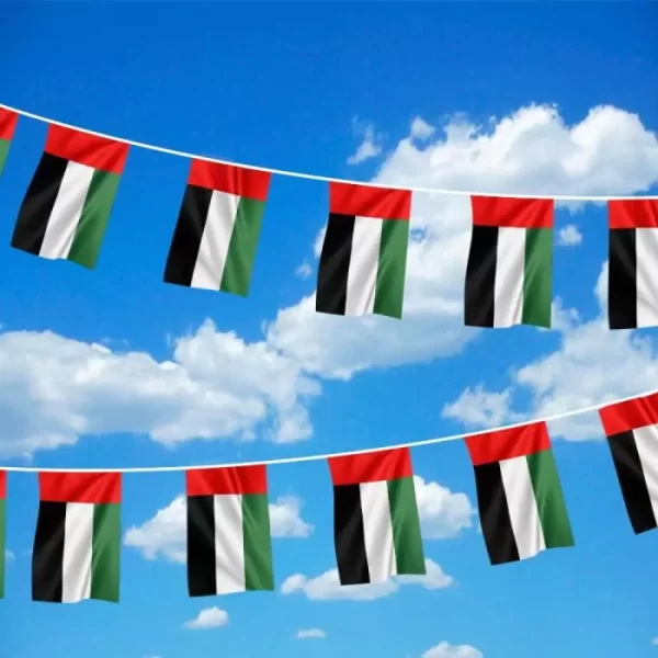 UAE Flag Bunting Sample