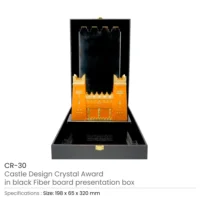 Castle Design Crystal Award Details