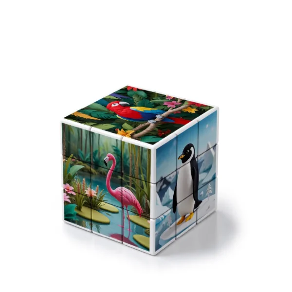 Cube Puzzles Sample View