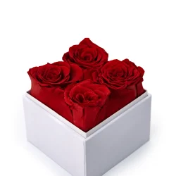 Forever Roses Gift Box