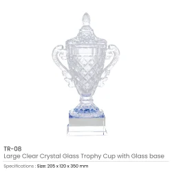 Crystal Glass Trophy Cup Details