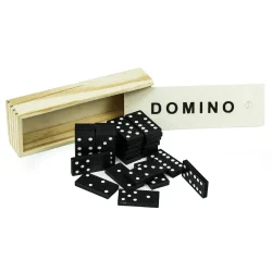 Domino Set Game