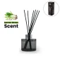 Aroma Reed Diffuser with Lemon Grass Scent