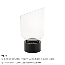 Crystal Trophy Details
