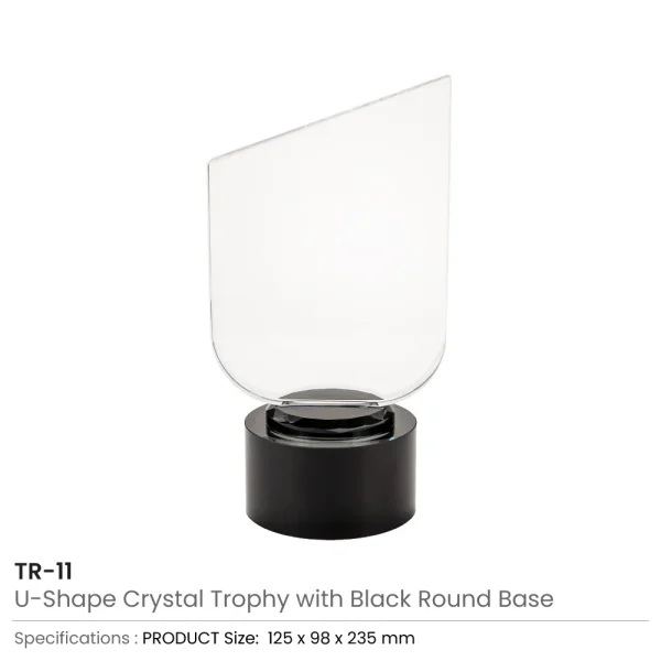 Crystal Trophy Details